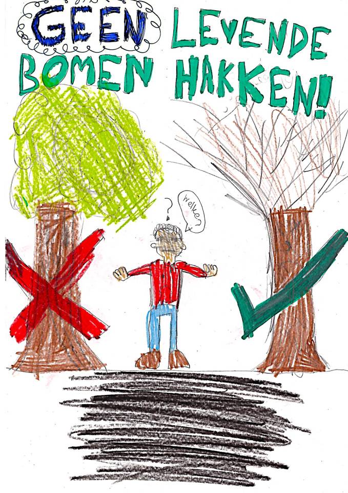 Foto van Evan
